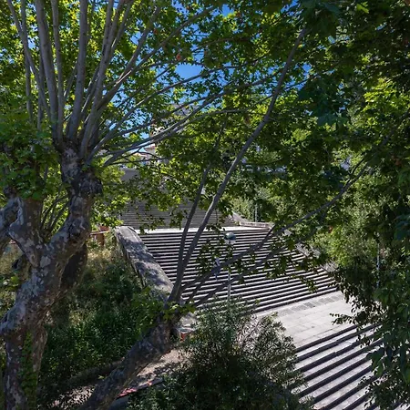 My Botanical Garden & * Coimbra